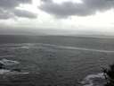 ./images/koeye/fitz-hugh/20141011/fitz-hugh20141011_130502.jpg