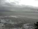 ./images/koeye/fitz-hugh/20141011/fitz-hugh20141011_131502.jpg
