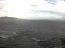 ./images/koeye/fitz-hugh/20141011/fitz-hugh20141011_133503.jpg
