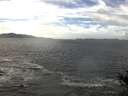 ./images/koeye/fitz-hugh/20141011/fitz-hugh20141011_134001.jpg