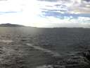 ./images/koeye/fitz-hugh/20141011/fitz-hugh20141011_134503.jpg