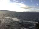 ./images/koeye/fitz-hugh/20141011/fitz-hugh20141011_140503.jpg