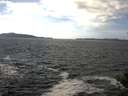 ./images/koeye/fitz-hugh/20141011/fitz-hugh20141011_142002.jpg