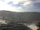 ./images/koeye/fitz-hugh/20141011/fitz-hugh20141011_142503.jpg
