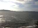 ./images/koeye/fitz-hugh/20141011/fitz-hugh20141011_143503.jpg