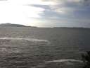 ./images/koeye/fitz-hugh/20141011/fitz-hugh20141011_144003.jpg