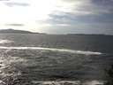 ./images/koeye/fitz-hugh/20141011/fitz-hugh20141011_144503.jpg