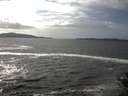 ./images/koeye/fitz-hugh/20141011/fitz-hugh20141011_145003.jpg