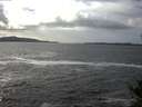 ./images/koeye/fitz-hugh/20141011/fitz-hugh20141011_145502.jpg
