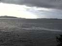 ./images/koeye/fitz-hugh/20141011/fitz-hugh20141011_151001.jpg