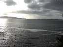 ./images/koeye/fitz-hugh/20141011/fitz-hugh20141011_155503.jpg