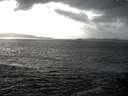 ./images/koeye/fitz-hugh/20141011/fitz-hugh20141011_161002.jpg
