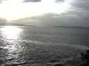 ./images/koeye/fitz-hugh/20141011/fitz-hugh20141011_162003.jpg