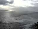 ./images/koeye/fitz-hugh/20141011/fitz-hugh20141011_164002.jpg