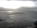 ./images/koeye/fitz-hugh/20141011/fitz-hugh20141011_165003.jpg
