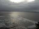 ./images/koeye/fitz-hugh/20141011/fitz-hugh20141011_171002.jpg
