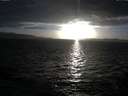 ./images/koeye/fitz-hugh/20141011/fitz-hugh20141011_182002.jpg