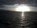 ./images/koeye/fitz-hugh/20141011/fitz-hugh20141011_182503.jpg