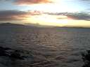 ./images/koeye/fitz-hugh/20141011/fitz-hugh20141011_184502.jpg
