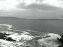 ./images/koeye/fitz-hugh/20141012/fitz-hugh20141012_072002.jpg