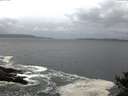 ./images/koeye/fitz-hugh/20141012/fitz-hugh20141012_074503.jpg