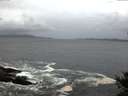./images/koeye/fitz-hugh/20141012/fitz-hugh20141012_080003.jpg
