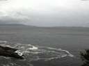 ./images/koeye/fitz-hugh/20141012/fitz-hugh20141012_081002.jpg