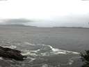 ./images/koeye/fitz-hugh/20141012/fitz-hugh20141012_082002.jpg