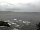 ./images/koeye/fitz-hugh/20141012/fitz-hugh20141012_082502.jpg