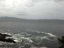 ./images/koeye/fitz-hugh/20141012/fitz-hugh20141012_083501.jpg