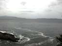 ./images/koeye/fitz-hugh/20141012/fitz-hugh20141012_084002.jpg