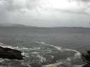 ./images/koeye/fitz-hugh/20141012/fitz-hugh20141012_084502.jpg
