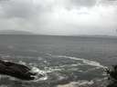 ./images/koeye/fitz-hugh/20141012/fitz-hugh20141012_085001.jpg