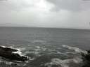 ./images/koeye/fitz-hugh/20141012/fitz-hugh20141012_085501.jpg