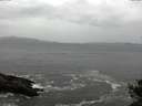 ./images/koeye/fitz-hugh/20141012/fitz-hugh20141012_090501.jpg