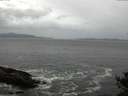 ./images/koeye/fitz-hugh/20141012/fitz-hugh20141012_093503.jpg
