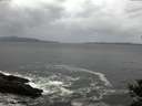 ./images/koeye/fitz-hugh/20141012/fitz-hugh20141012_094003.jpg