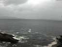 ./images/koeye/fitz-hugh/20141012/fitz-hugh20141012_100502.jpg