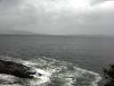 ./images/koeye/fitz-hugh/20141012/fitz-hugh20141012_101003.jpg