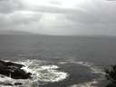 ./images/koeye/fitz-hugh/20141012/fitz-hugh20141012_102002.jpg