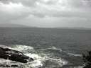 ./images/koeye/fitz-hugh/20141012/fitz-hugh20141012_102502.jpg