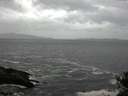 ./images/koeye/fitz-hugh/20141012/fitz-hugh20141012_103503.jpg
