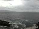 ./images/koeye/fitz-hugh/20141012/fitz-hugh20141012_104001.jpg