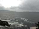 ./images/koeye/fitz-hugh/20141012/fitz-hugh20141012_104502.jpg