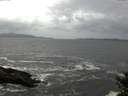 ./images/koeye/fitz-hugh/20141012/fitz-hugh20141012_105002.jpg