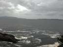 ./images/koeye/fitz-hugh/20141012/fitz-hugh20141012_105501.jpg