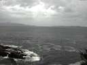 ./images/koeye/fitz-hugh/20141012/fitz-hugh20141012_111502.jpg