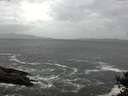 ./images/koeye/fitz-hugh/20141012/fitz-hugh20141012_112002.jpg