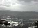 ./images/koeye/fitz-hugh/20141012/fitz-hugh20141012_112502.jpg
