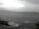 ./images/koeye/fitz-hugh/20141012/fitz-hugh20141012_113502.jpg